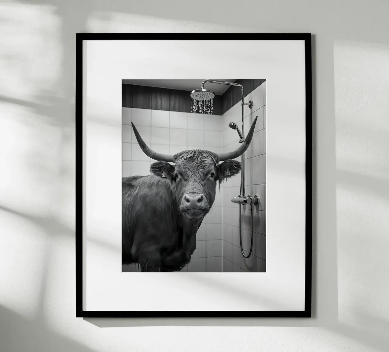 Mucca scozzese in bagno carta hahnemühle da Plain Thoughts