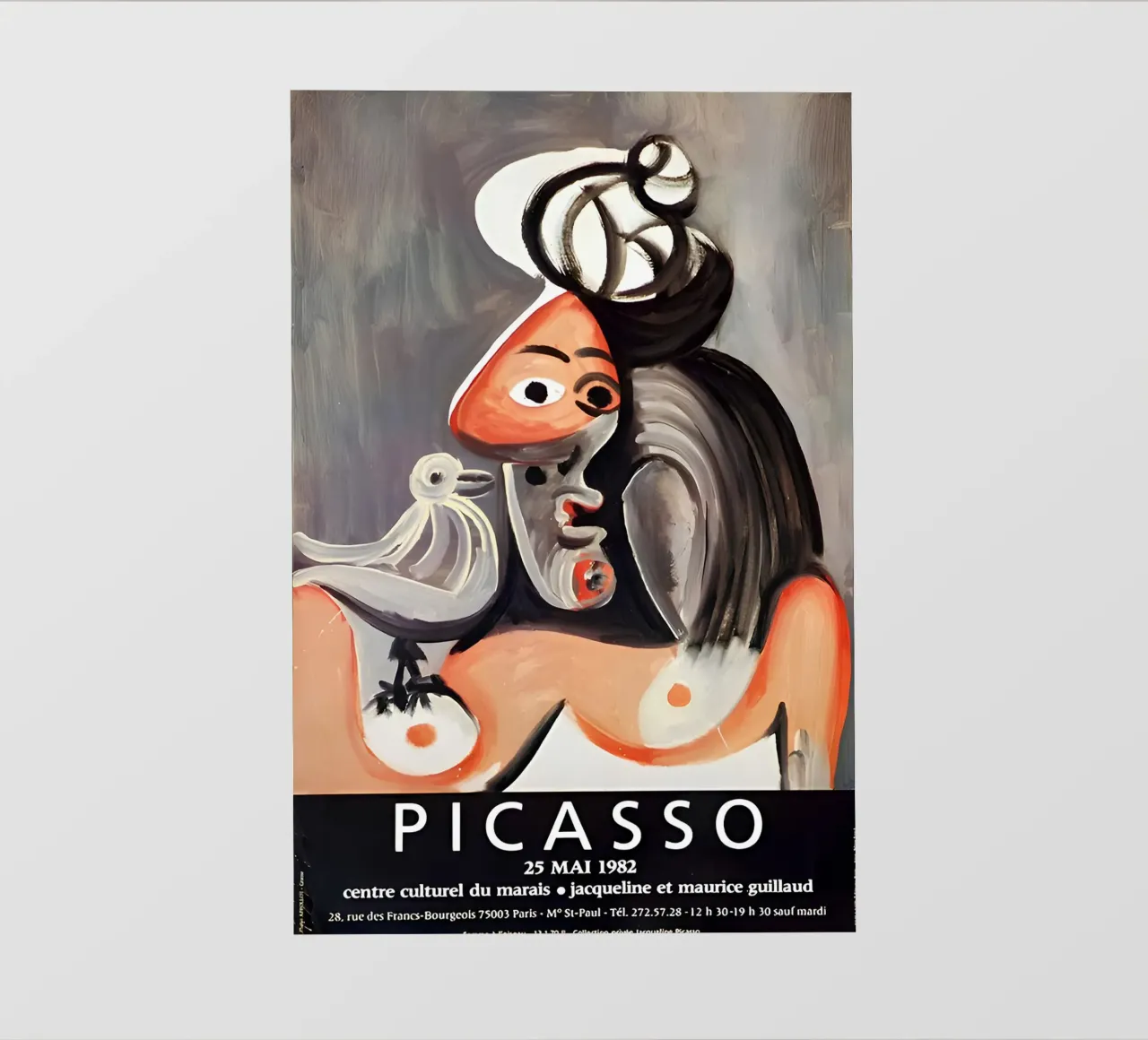 Poster della mostra di Picasso Jacqueline e Maurice Guillaud telo in pvc da homdeco