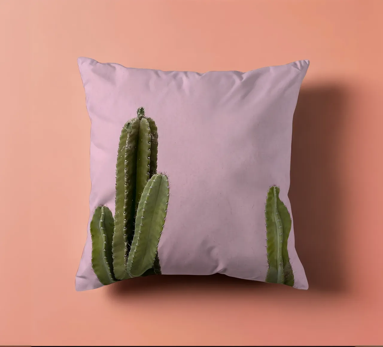 cactus pianta grassa verde cuscino da Ben King