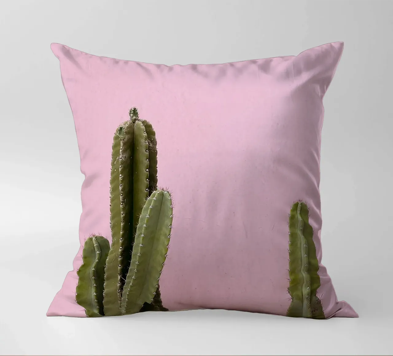 cactus pianta grassa verde cuscino da Ben King