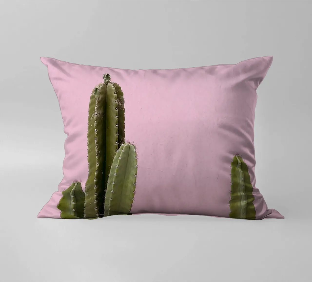 cactus pianta grassa verde cuscino da Ben King