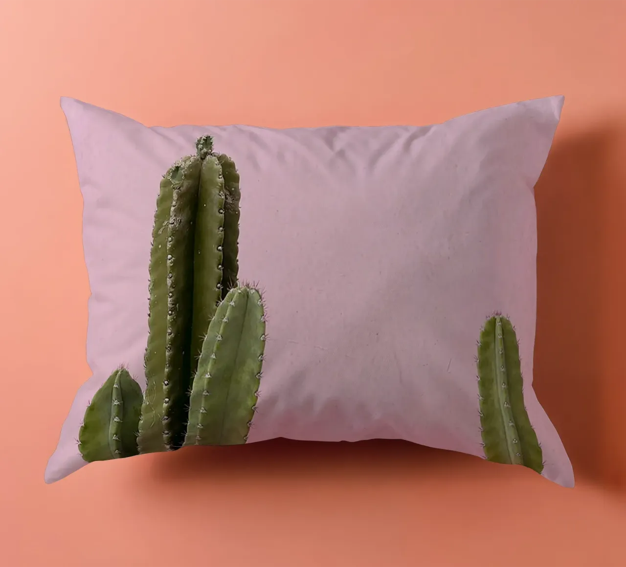 cactus pianta grassa verde cuscino da Ben King