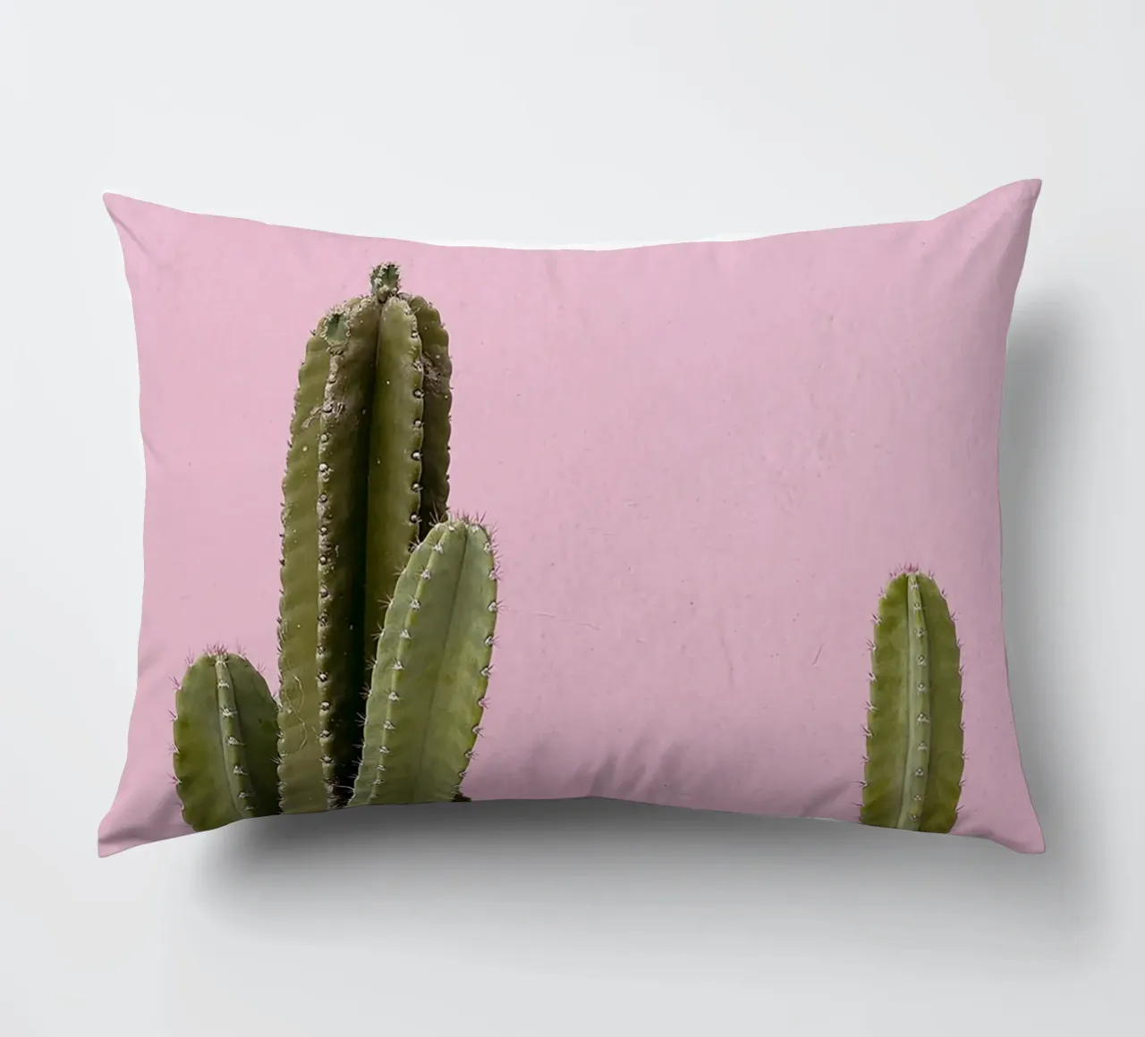 cactus pianta grassa verde cuscino da Ben King