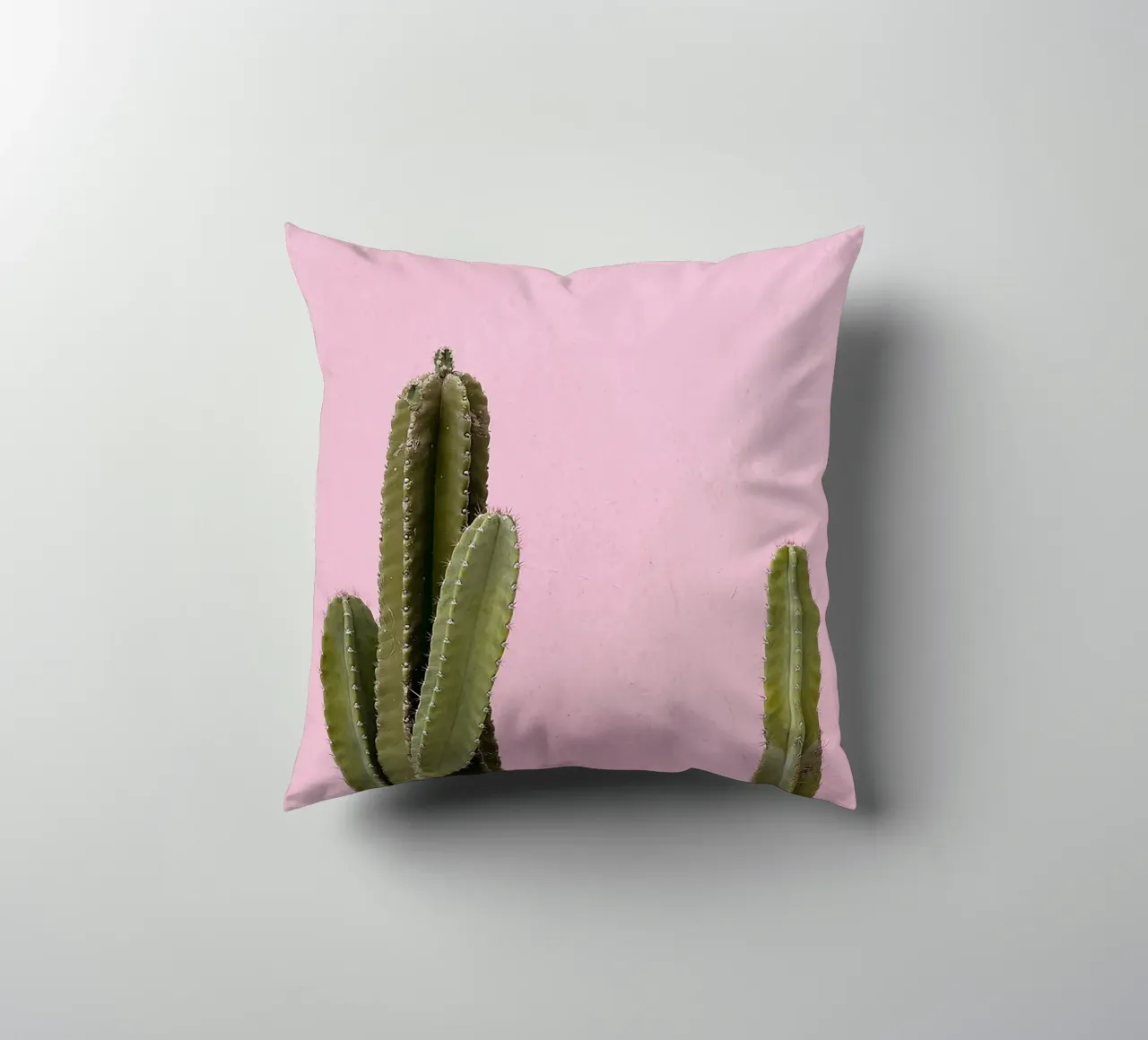 cactus pianta grassa verde cuscino da Ben King