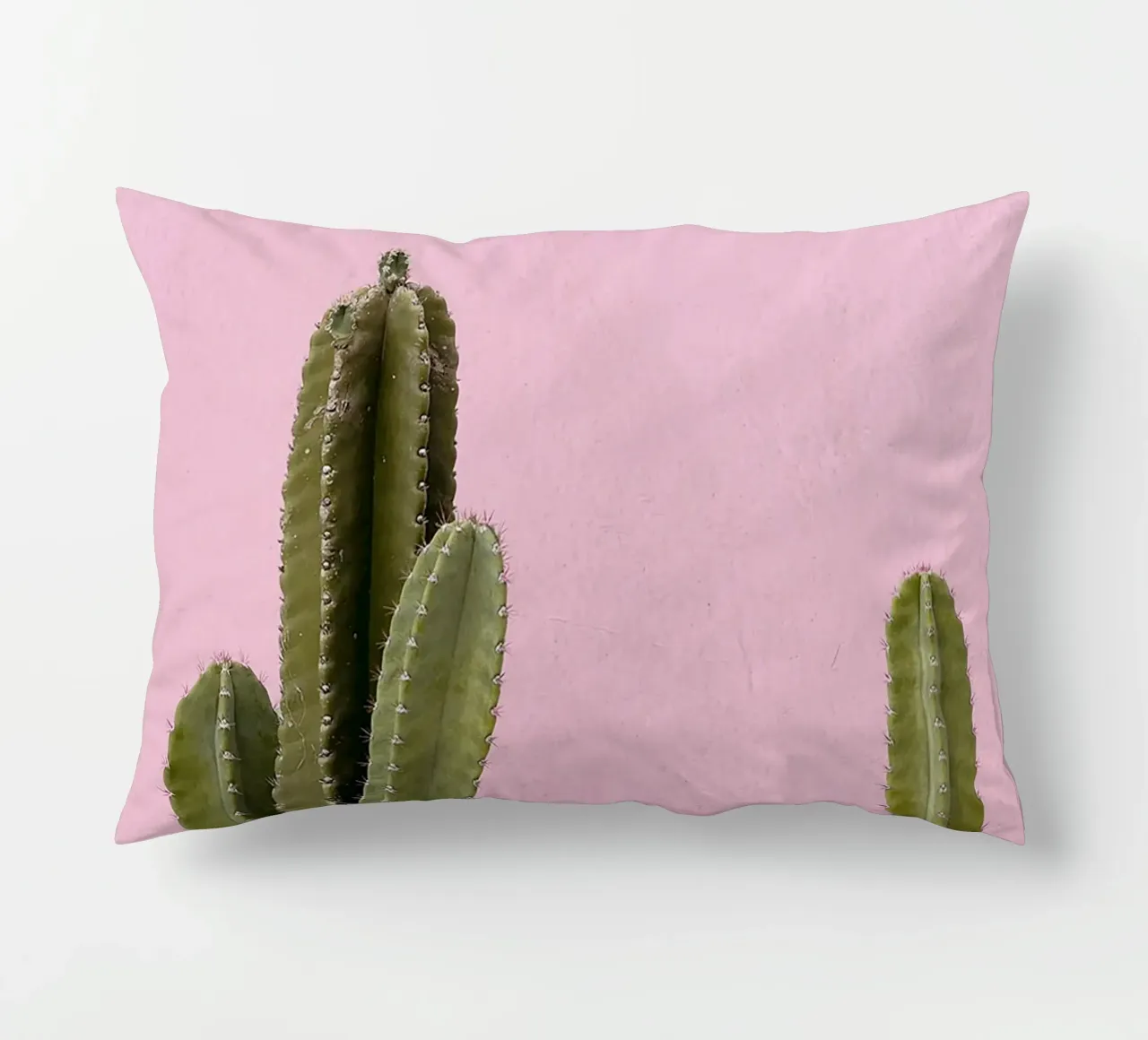 cactus pianta grassa verde cuscino da Ben King