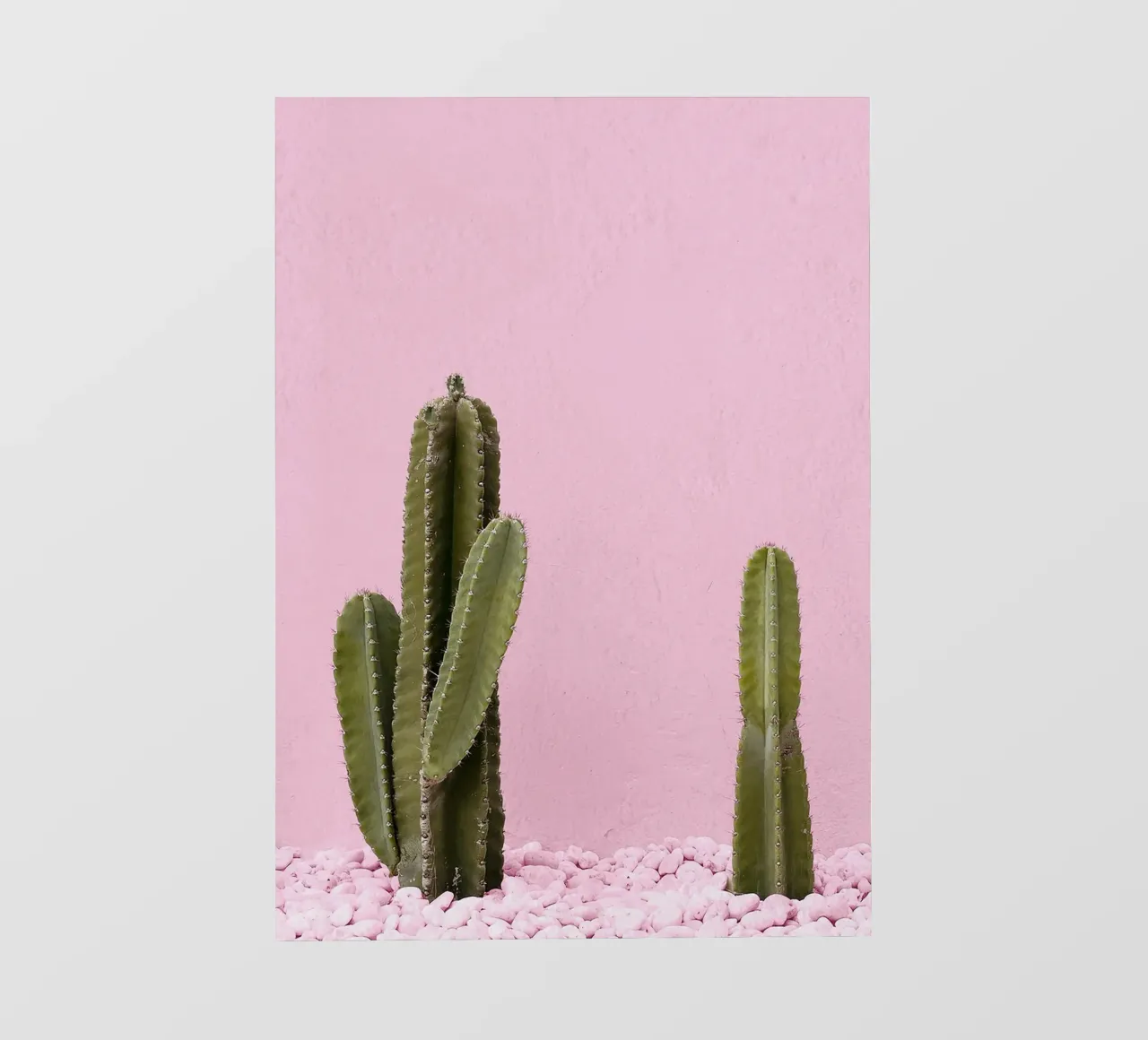 cactus pianta grassa verde telo in pvc da Ben King
