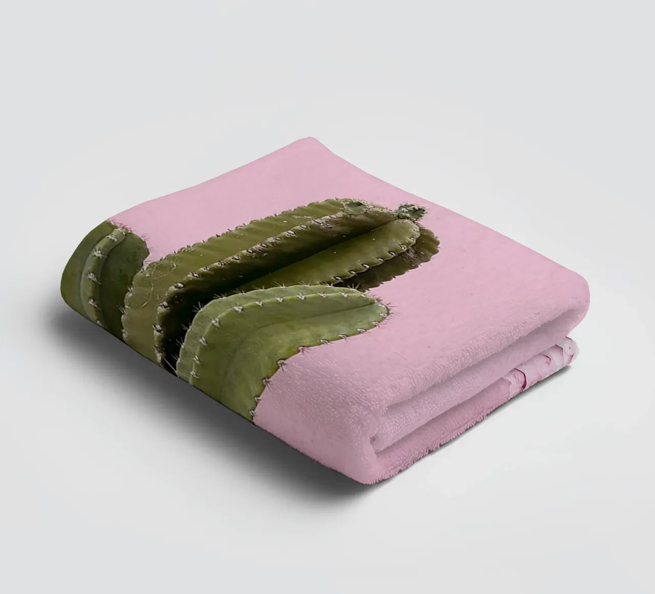 cactus pianta grassa verde asciugamano da bagno da Ben King