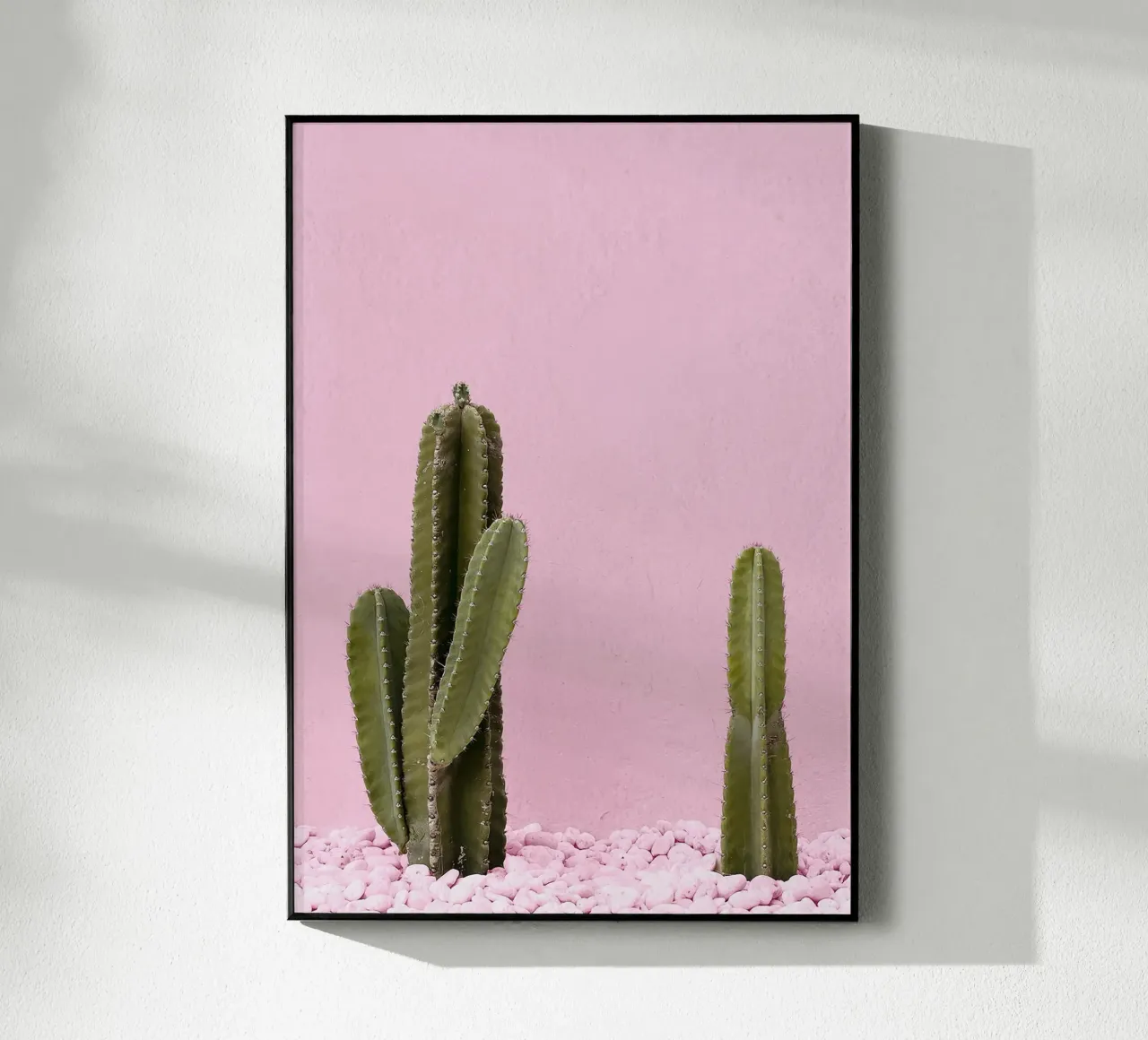 cactus pianta grassa verde plexiglass da Ben King