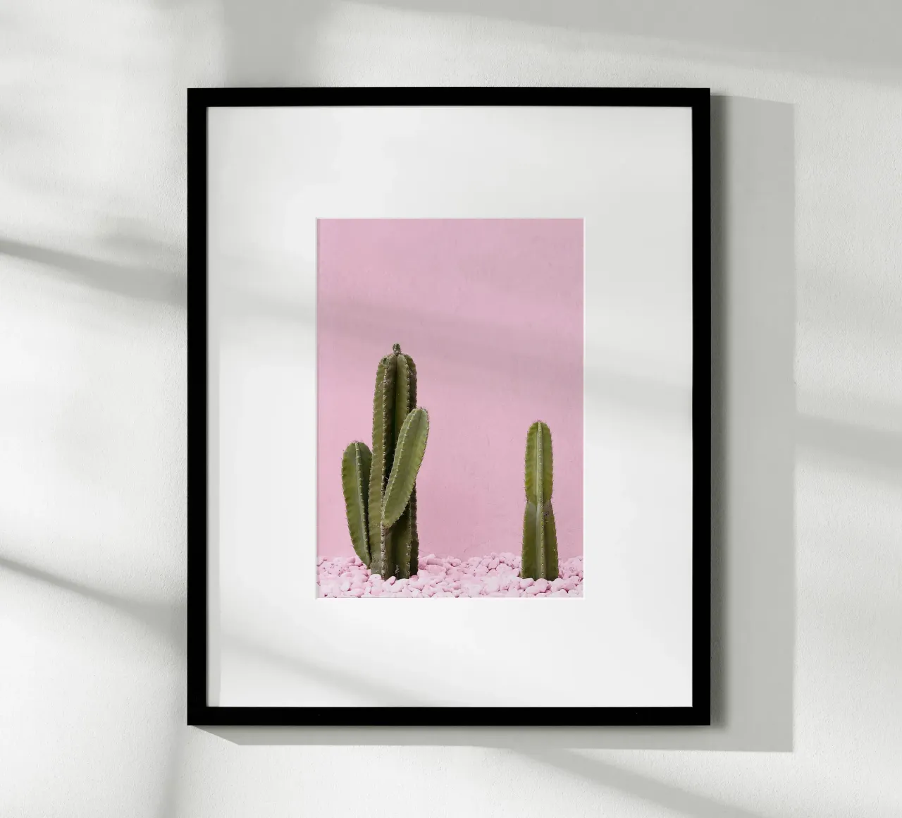 cactus pianta grassa verde carta hahnemühle da Ben King