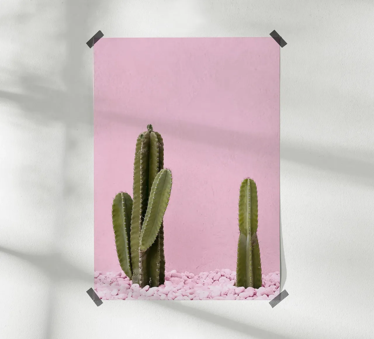 cactus pianta grassa verde carta hahnemühle da Ben King