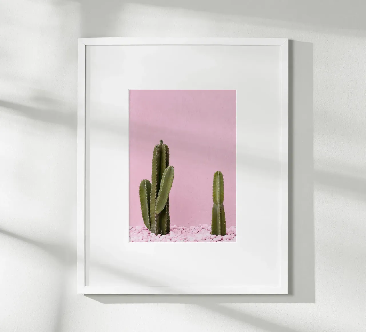 cactus pianta grassa verde carta hahnemühle da Ben King