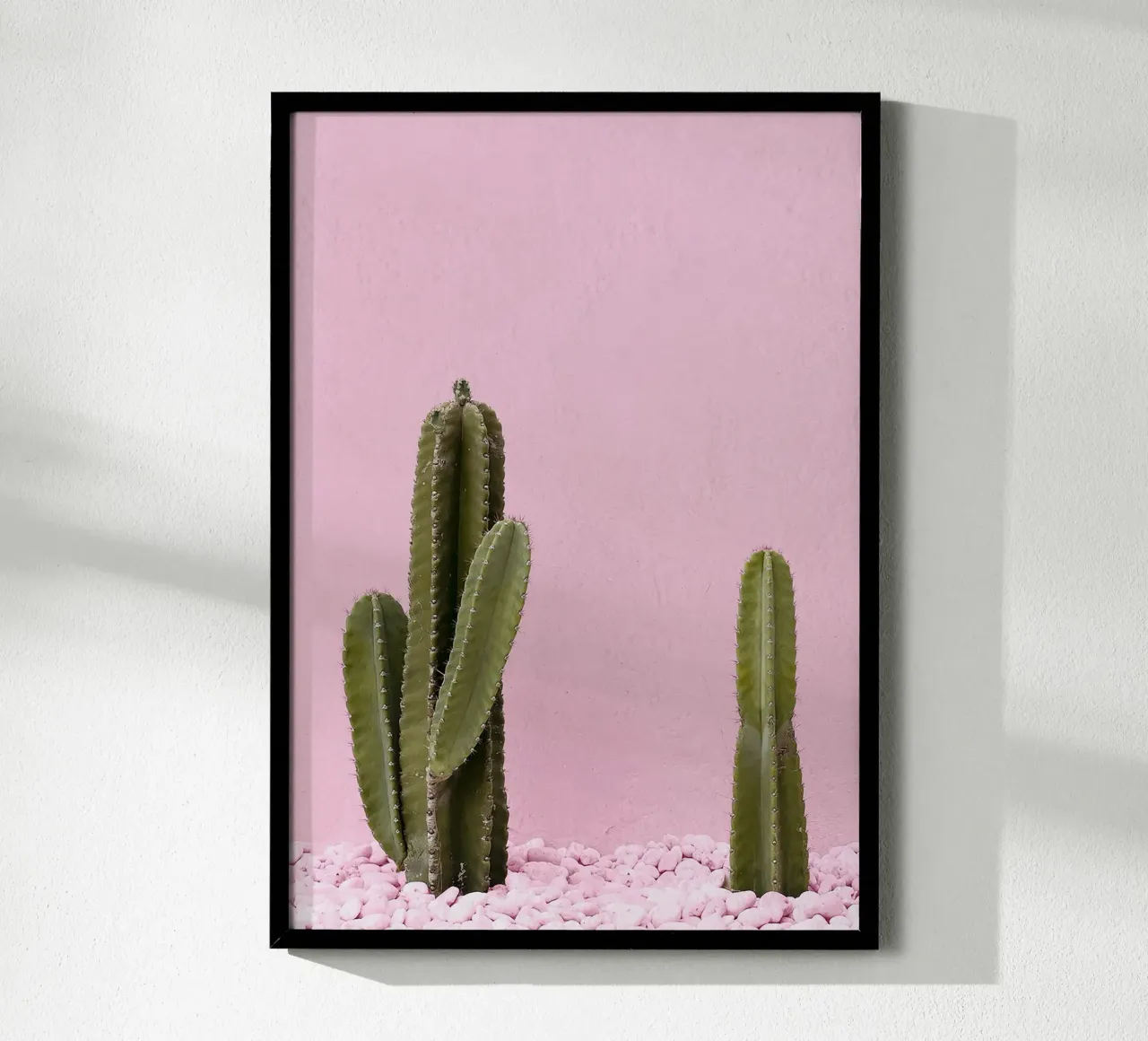 cactus pianta grassa verde carta hahnemühle da Ben King