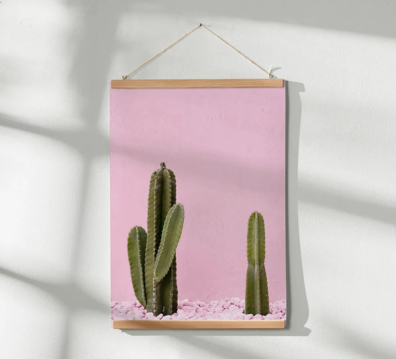 cactus pianta grassa verde carta hahnemühle da Ben King