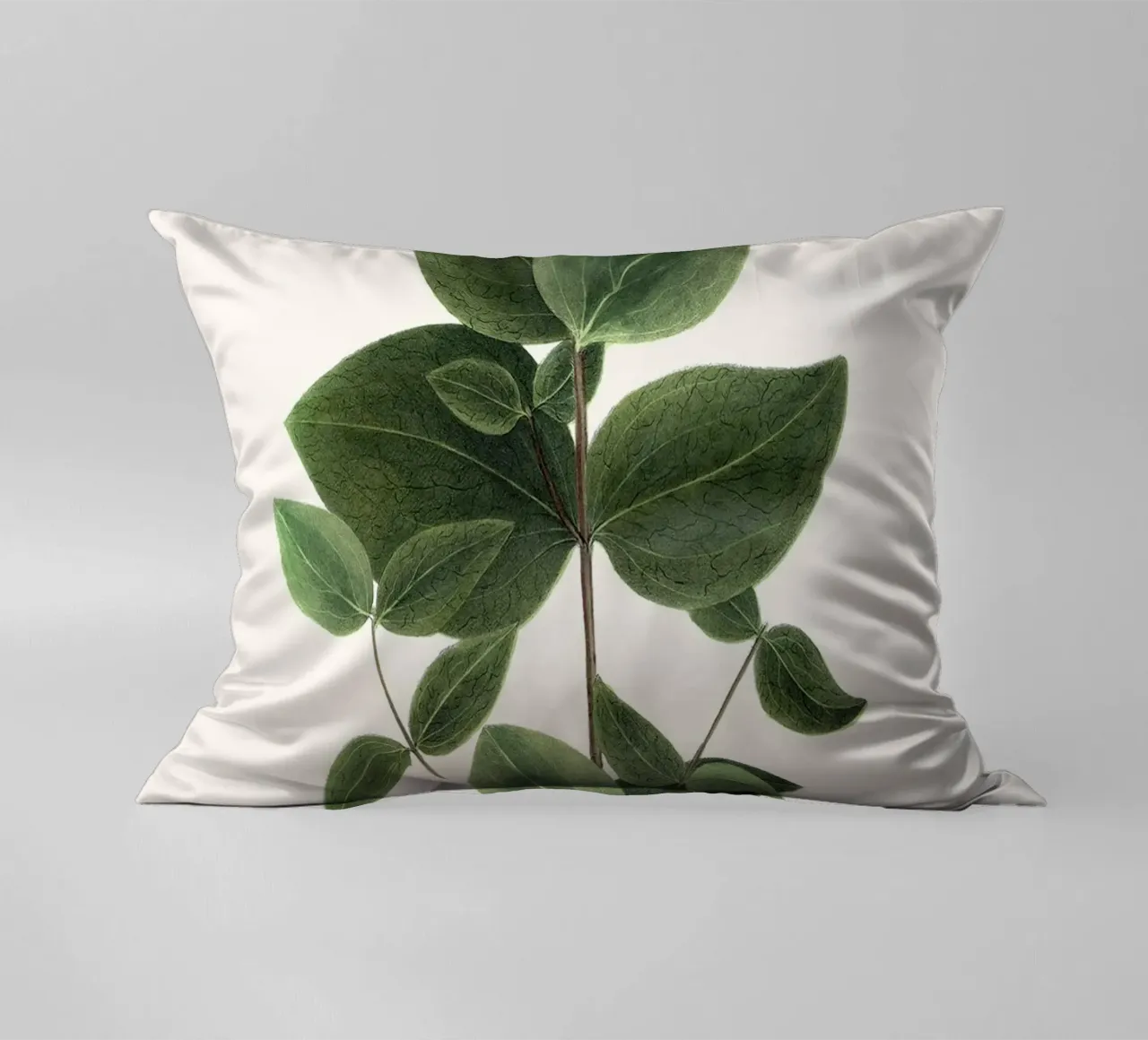 pianta botanica clematide cuscino da Ben King