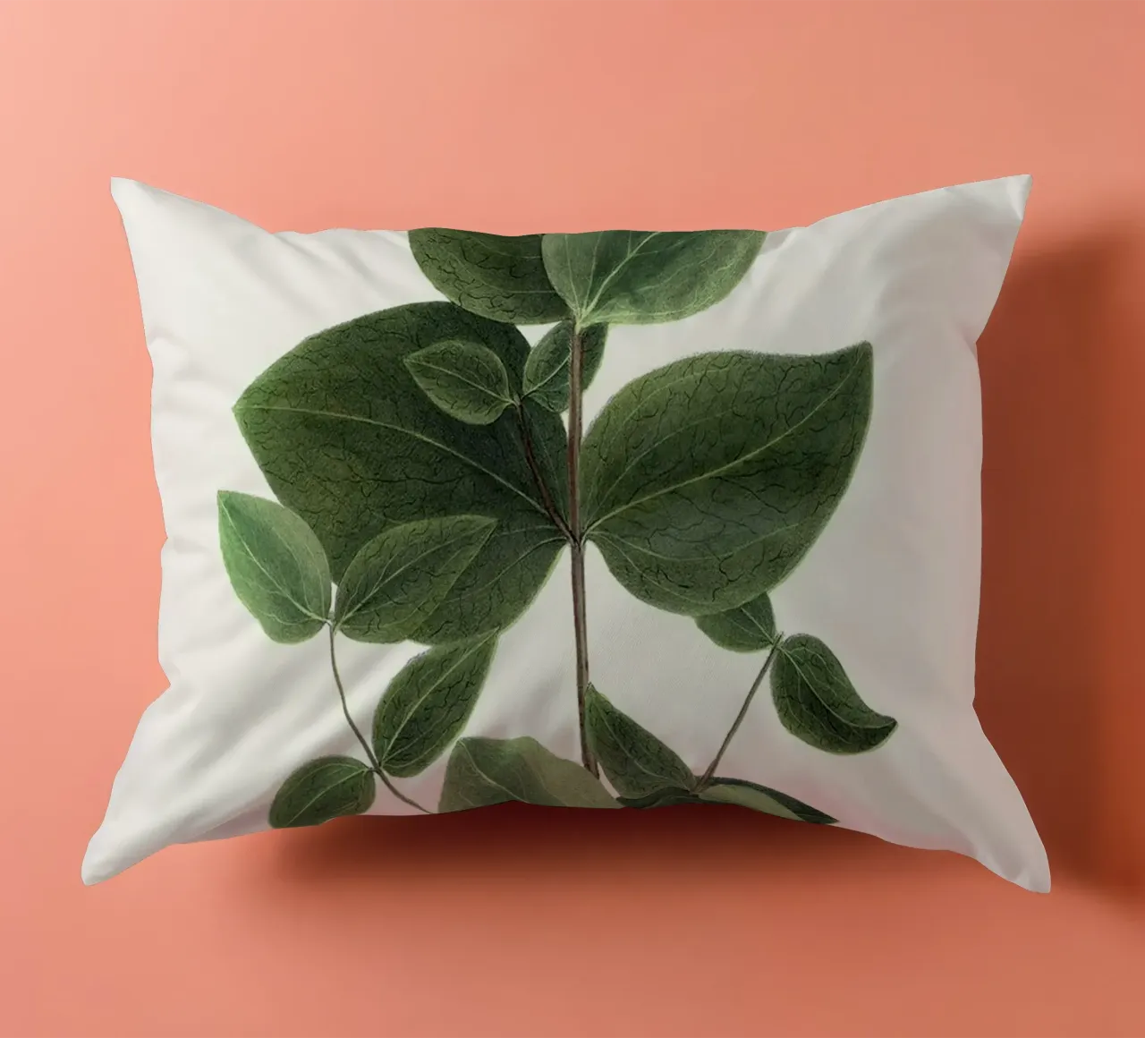 pianta botanica clematide cuscino da Ben King