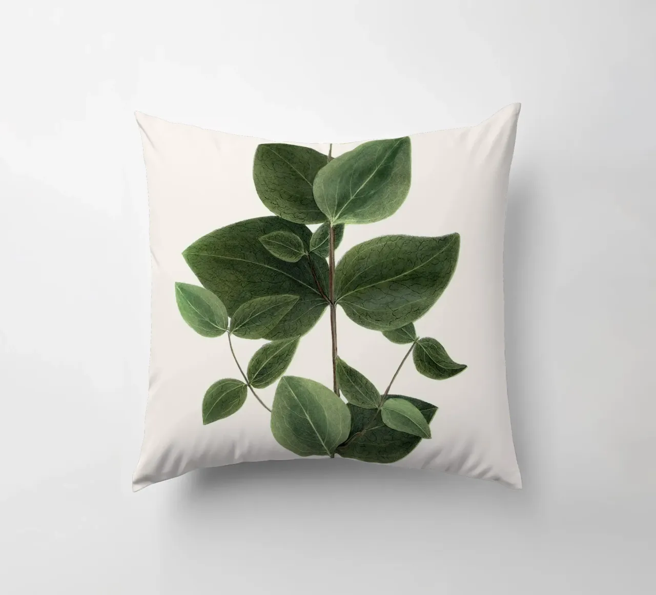 pianta botanica clematide cuscino da Ben King