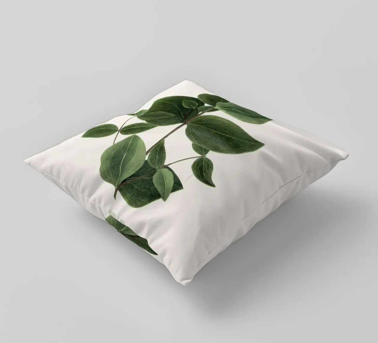 pianta botanica clematide cuscino da Ben King
