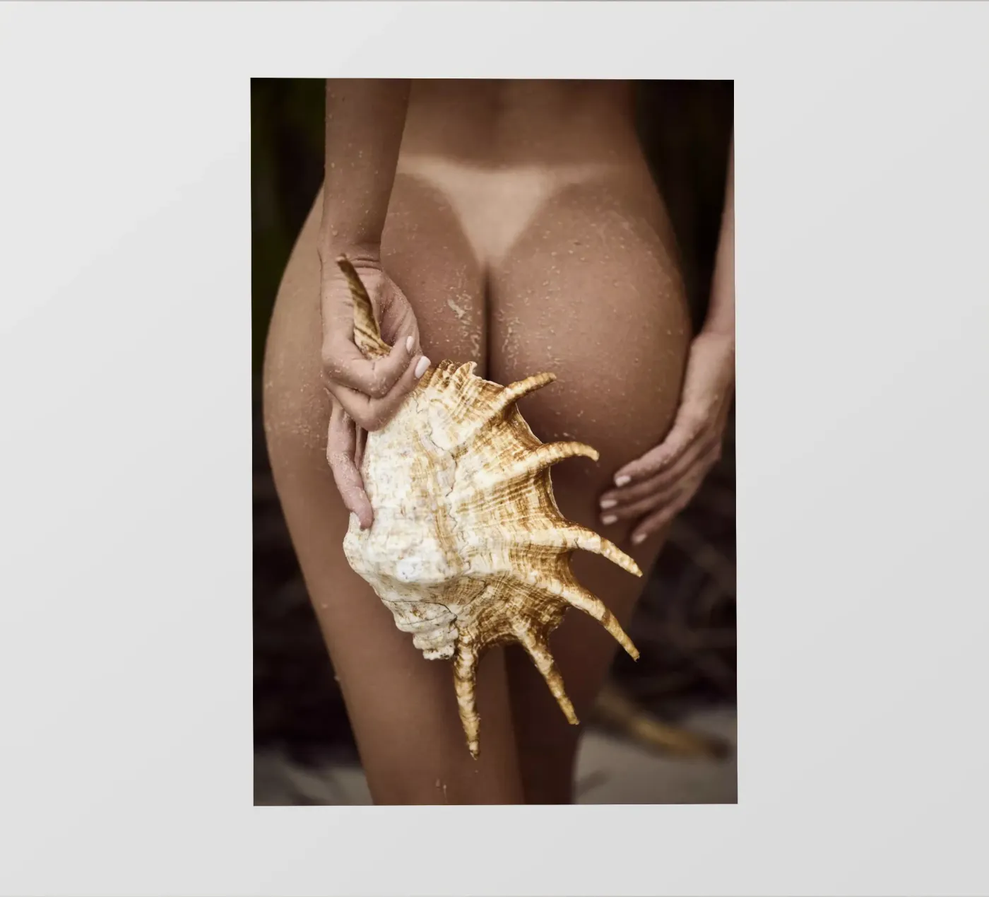 Seashell bâche pvc de Marie Bärsch