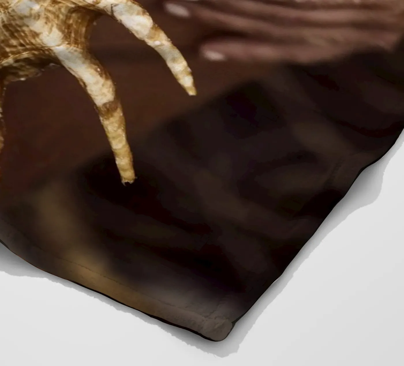 Seashell Fleecedecke von Marie Bärsch