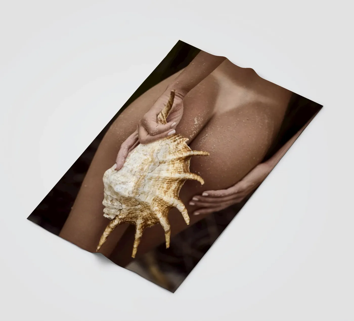 Seashell Fleecedecke von Marie Bärsch