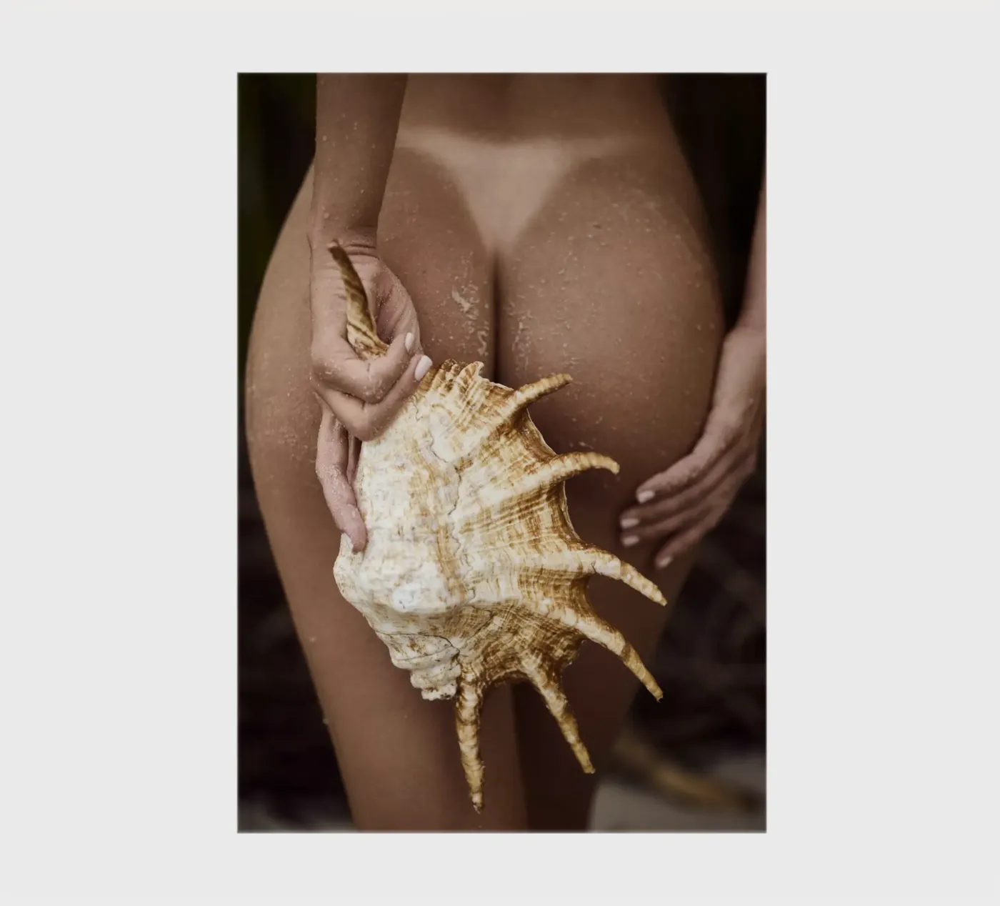 Seashell notebook by Marie Bärsch