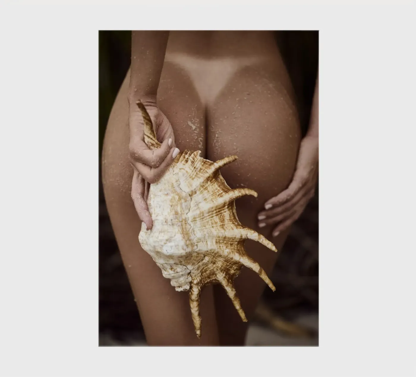 Seashell Notizbuch von Marie Bärsch