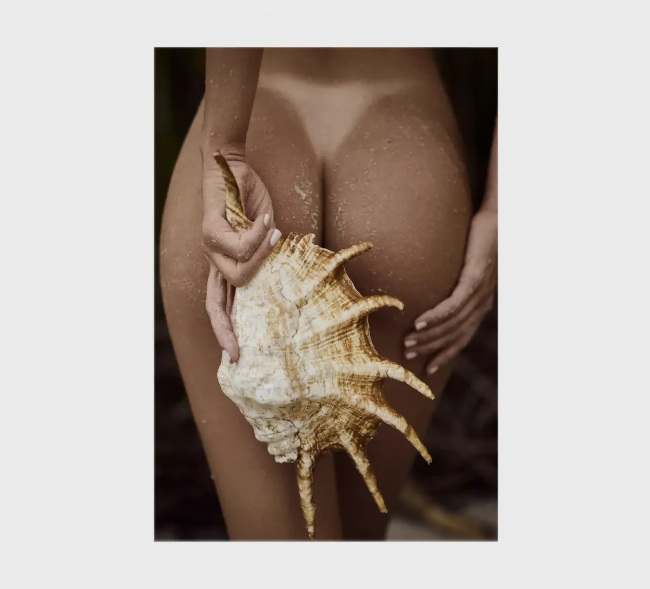 Seashell notebook by Marie Bärsch