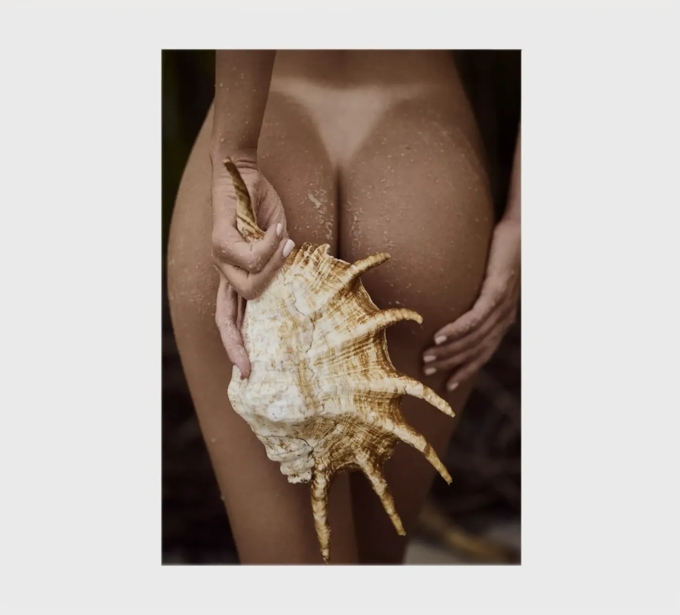 Seashell notebook by Marie Bärsch