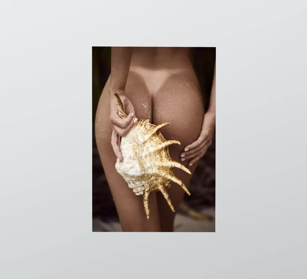 Seashell sticker van Marie Bärsch