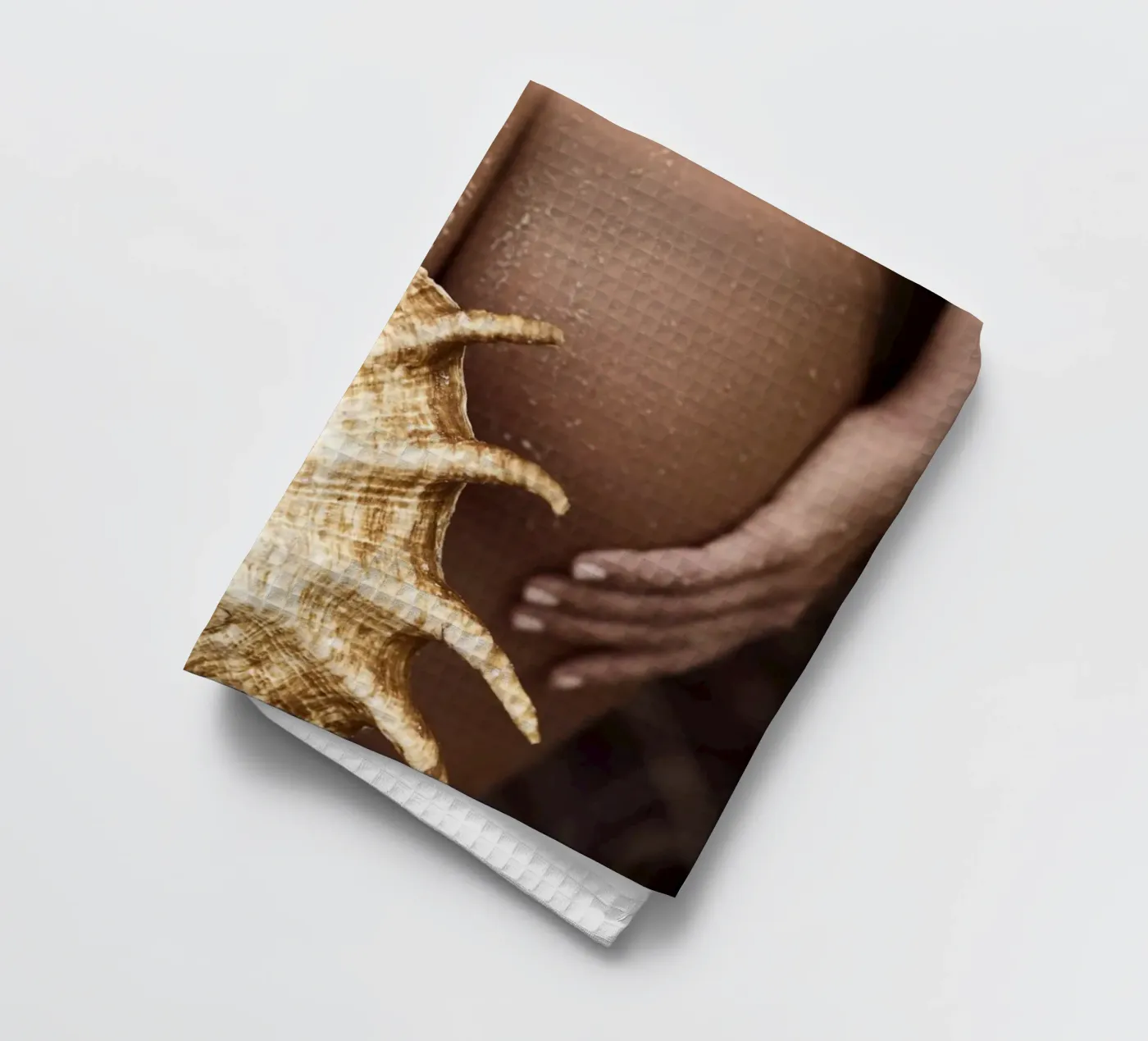 Seashell tea towel by Marie Bärsch