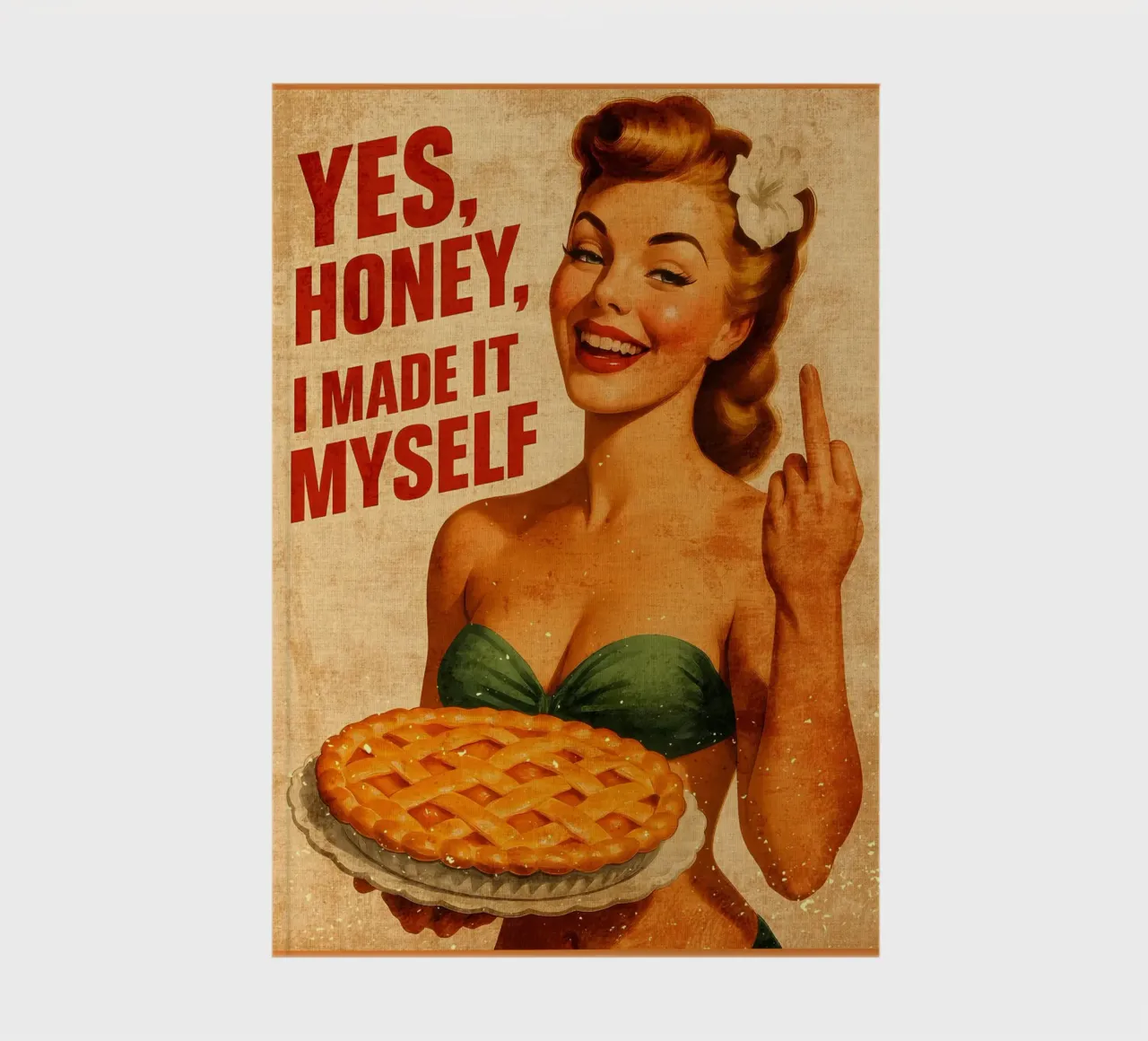 Ragazza Pin-Up retrò con cucina divertente diario da Drew Studio