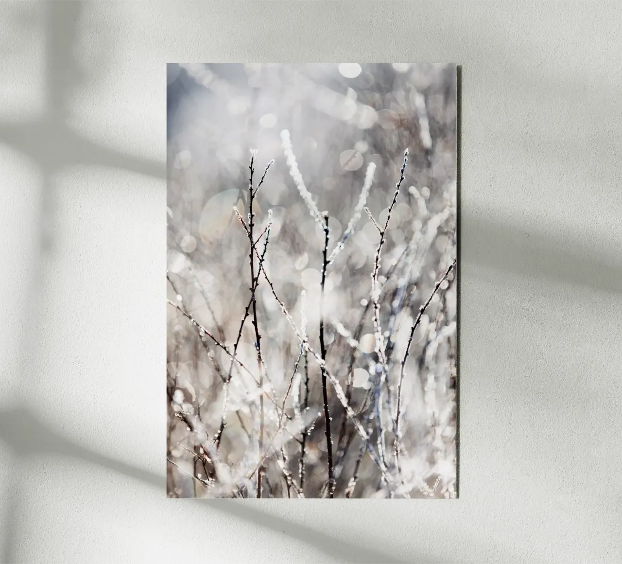 A Winter Morning 4 Alu-Dibond von Mareike Böhmer Photography