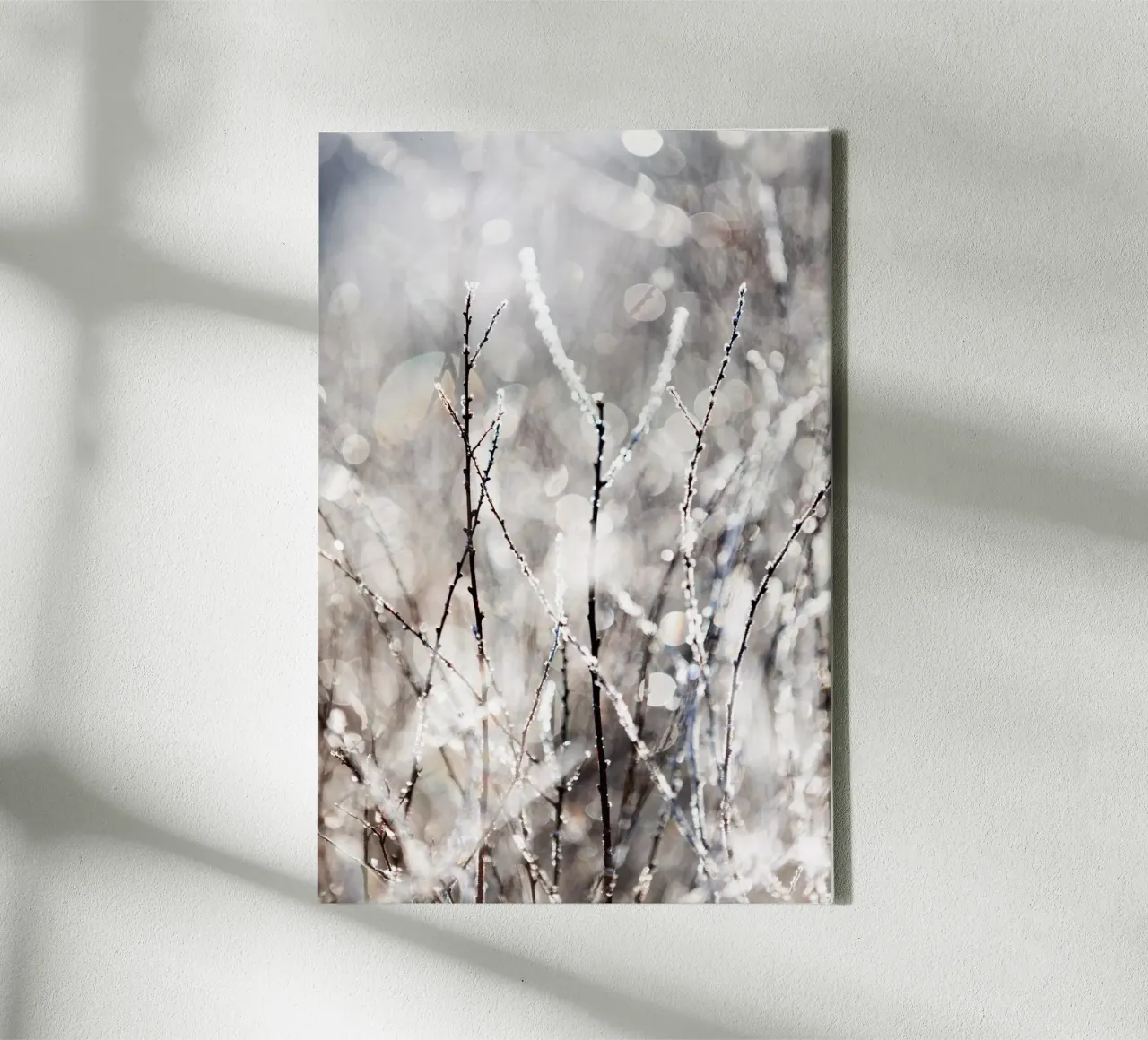 A Winter Morning 4 Leinwand von Mareike Böhmer Photography