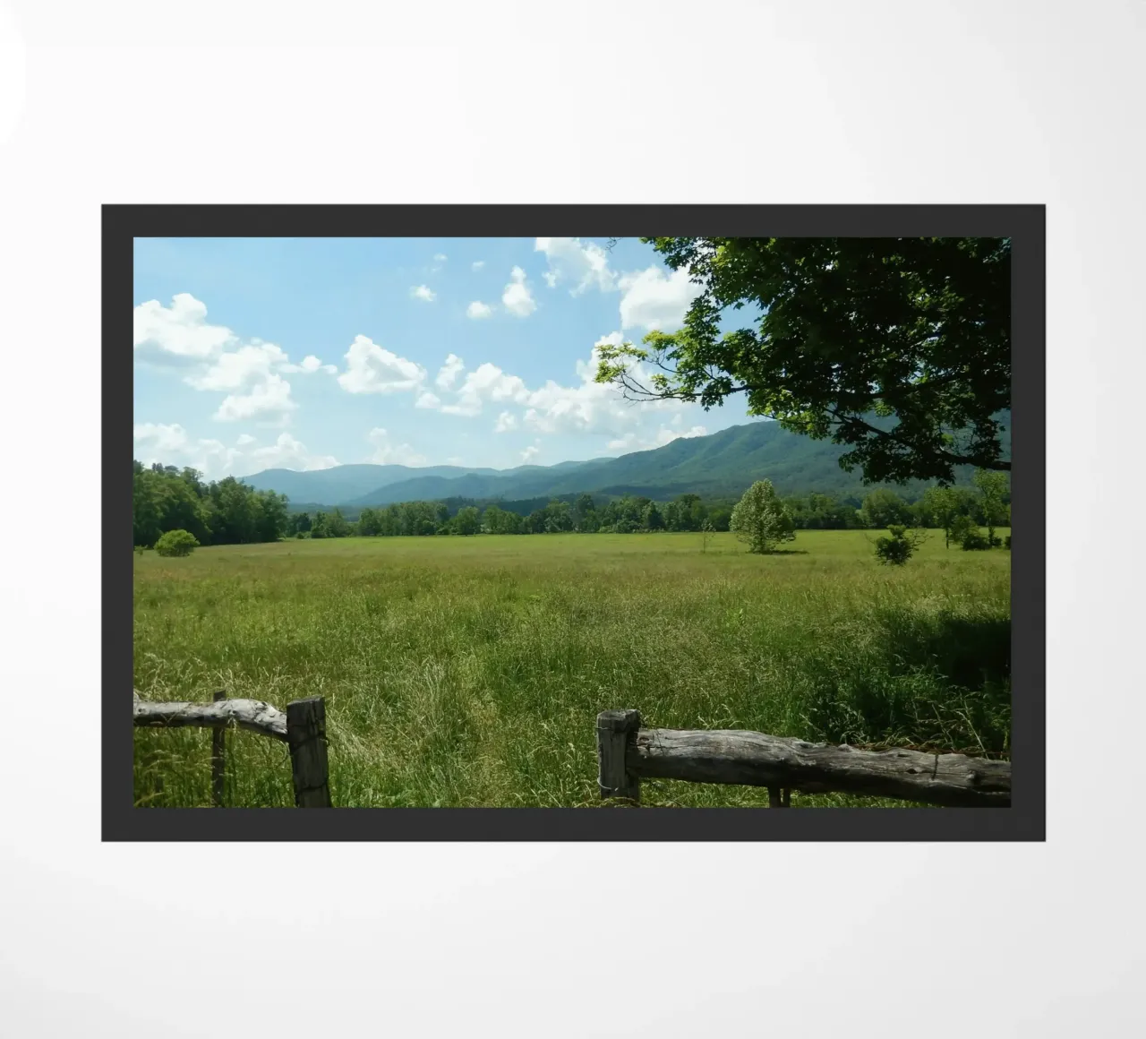 field mountains zerbino da Horsire