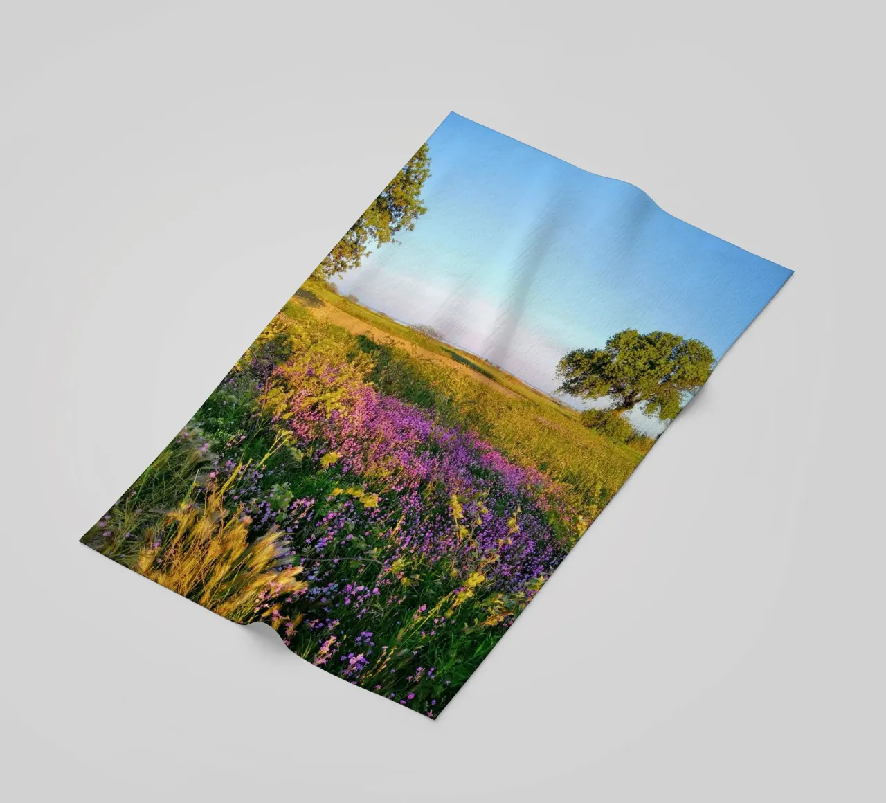 meadow vegetation telo mare da cofa home