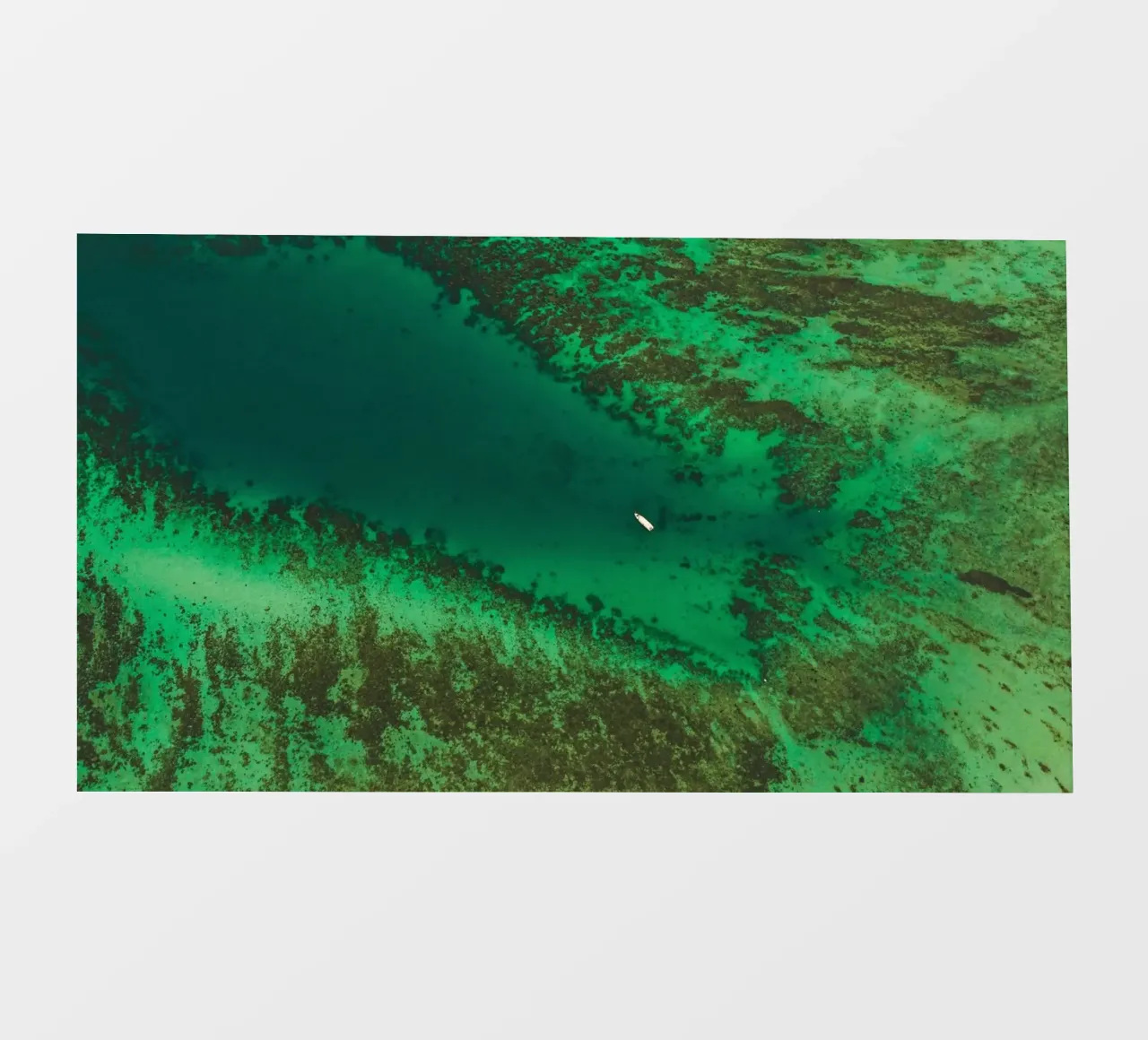 coral reef natural telo in pvc da cofa home