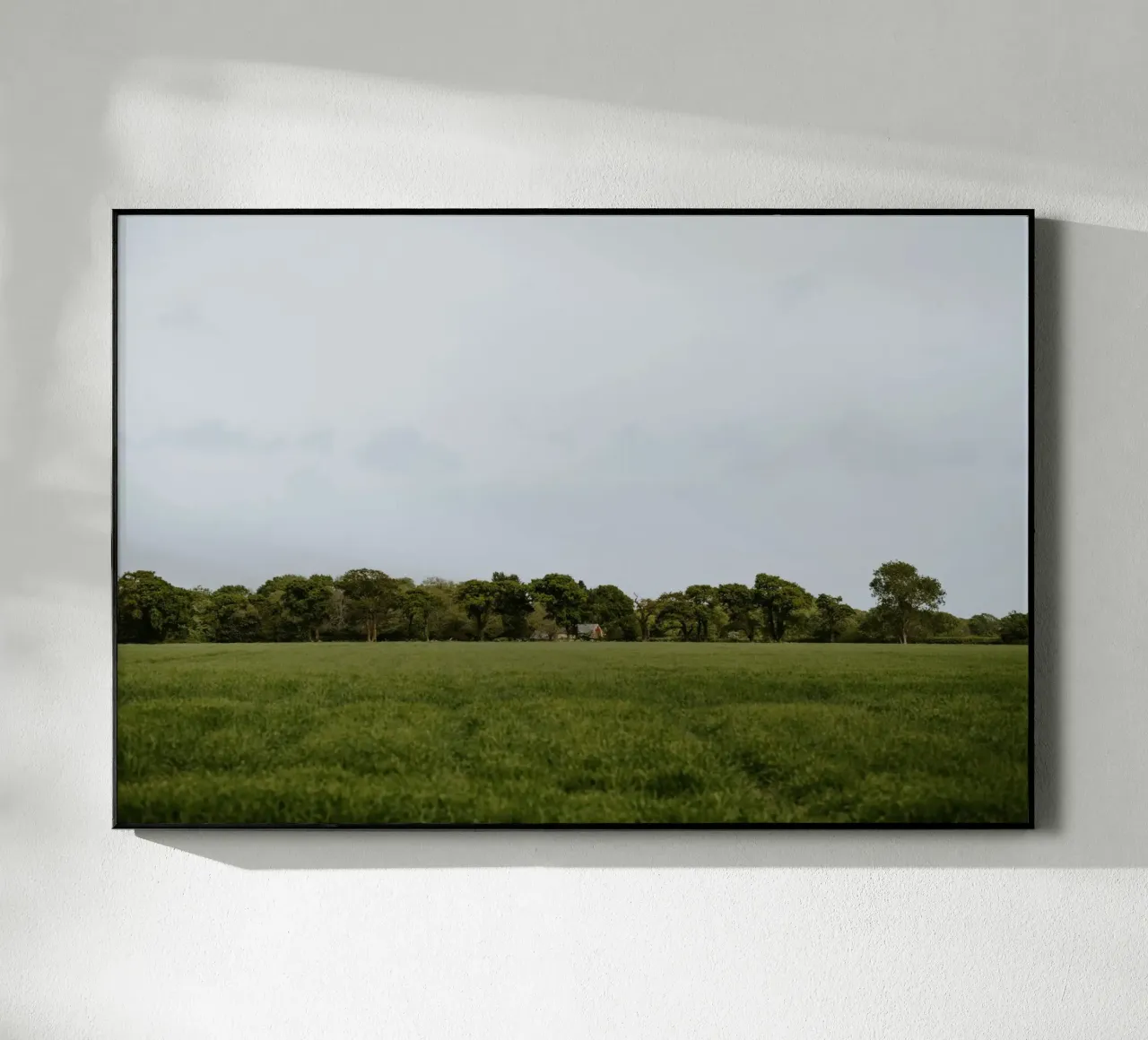 greenery nature plexiglass da Horsire