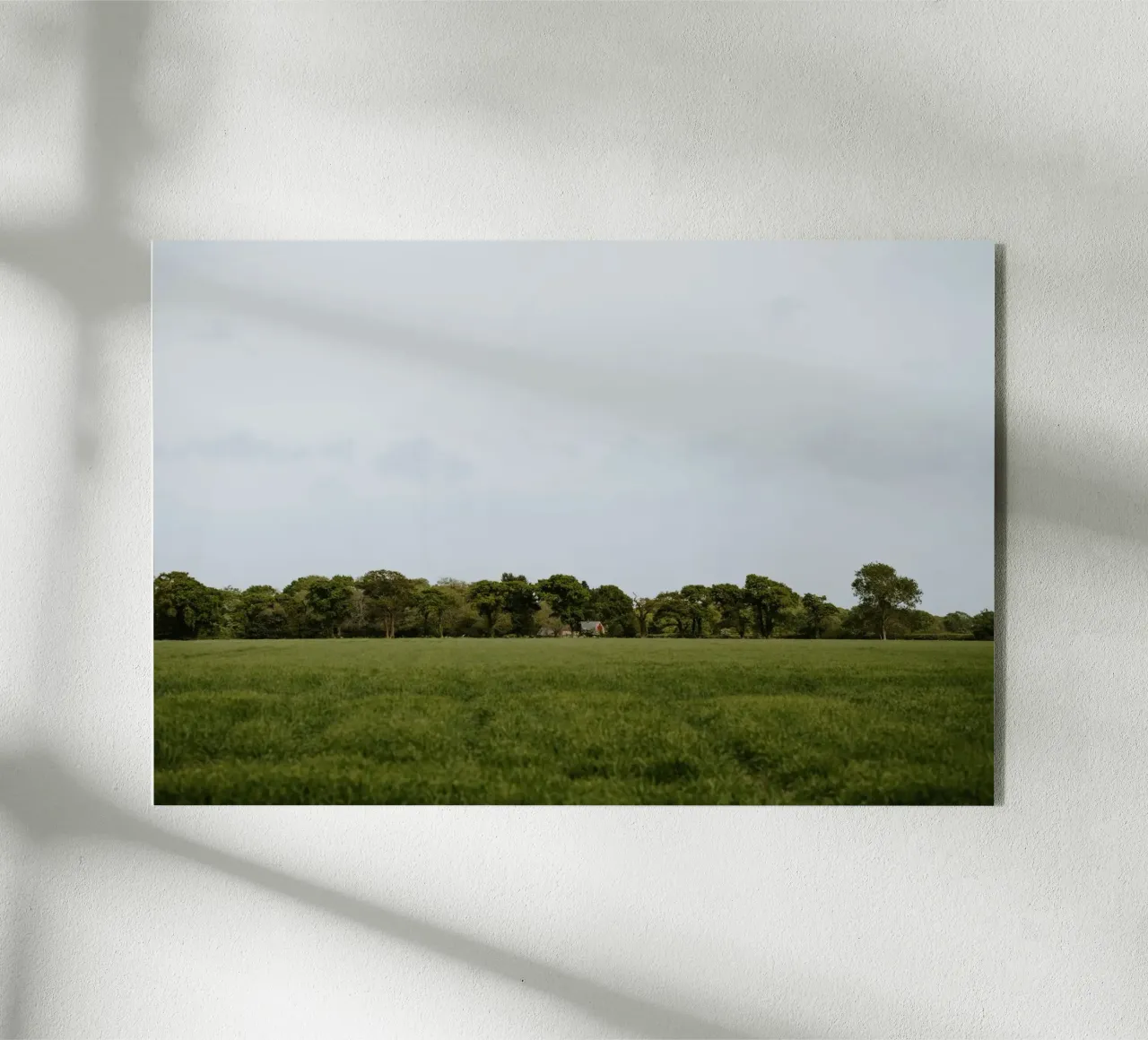 greenery nature plexiglass da Horsire