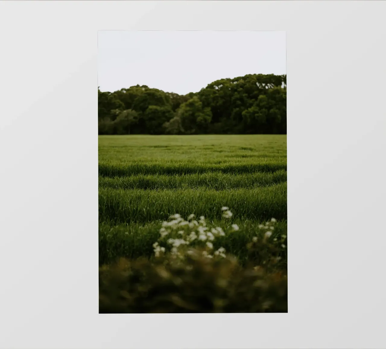 bushes forest telo in pvc da Horsire