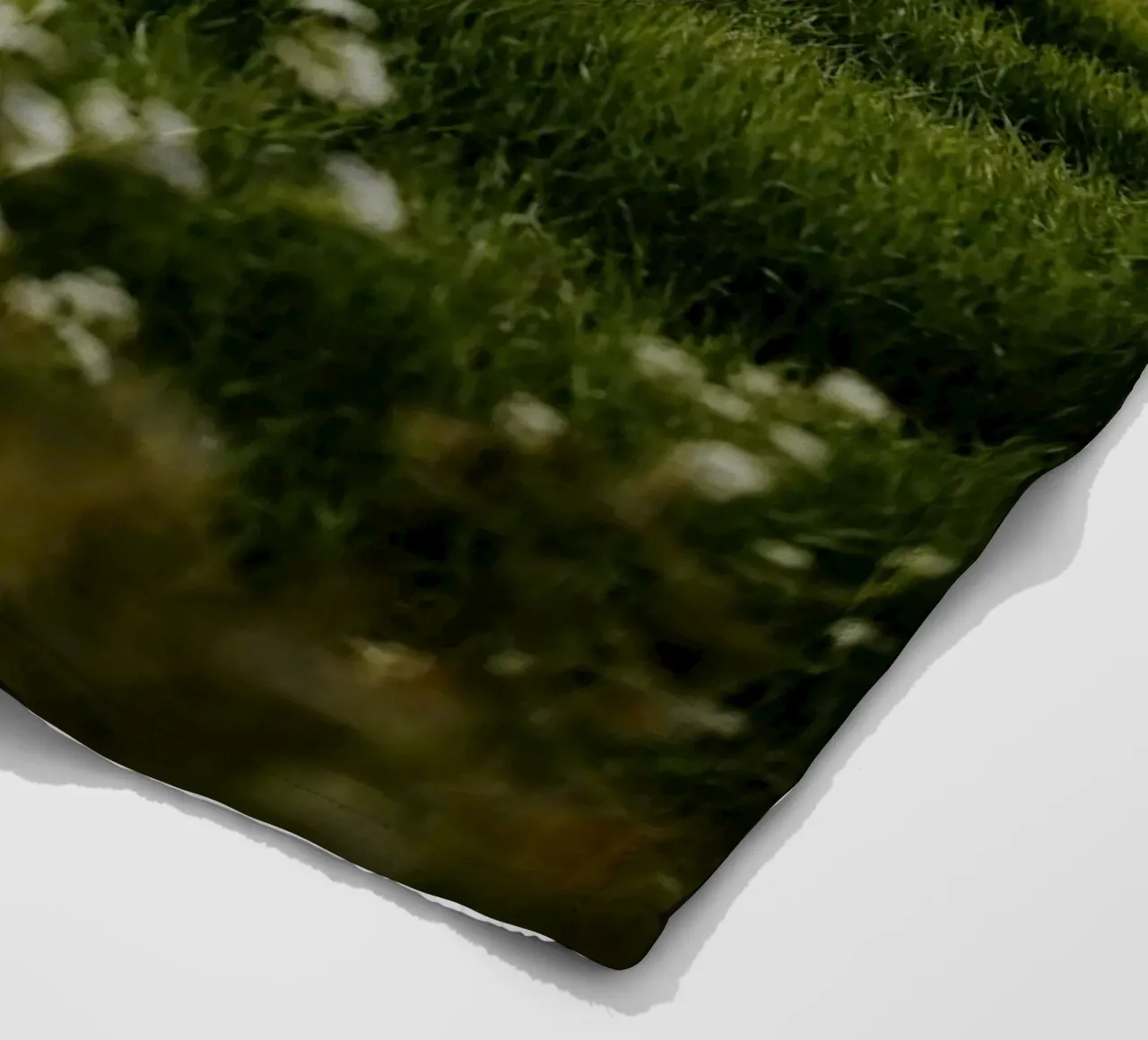 bushes forest coperta in pile da Horsire