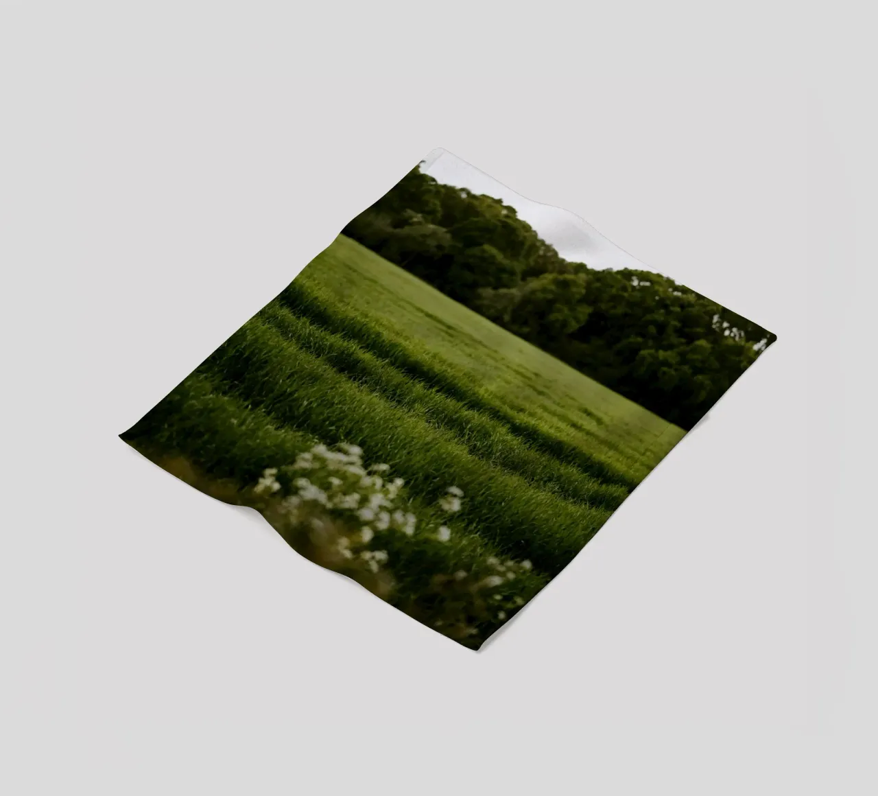 bushes forest coperta in pile da Horsire