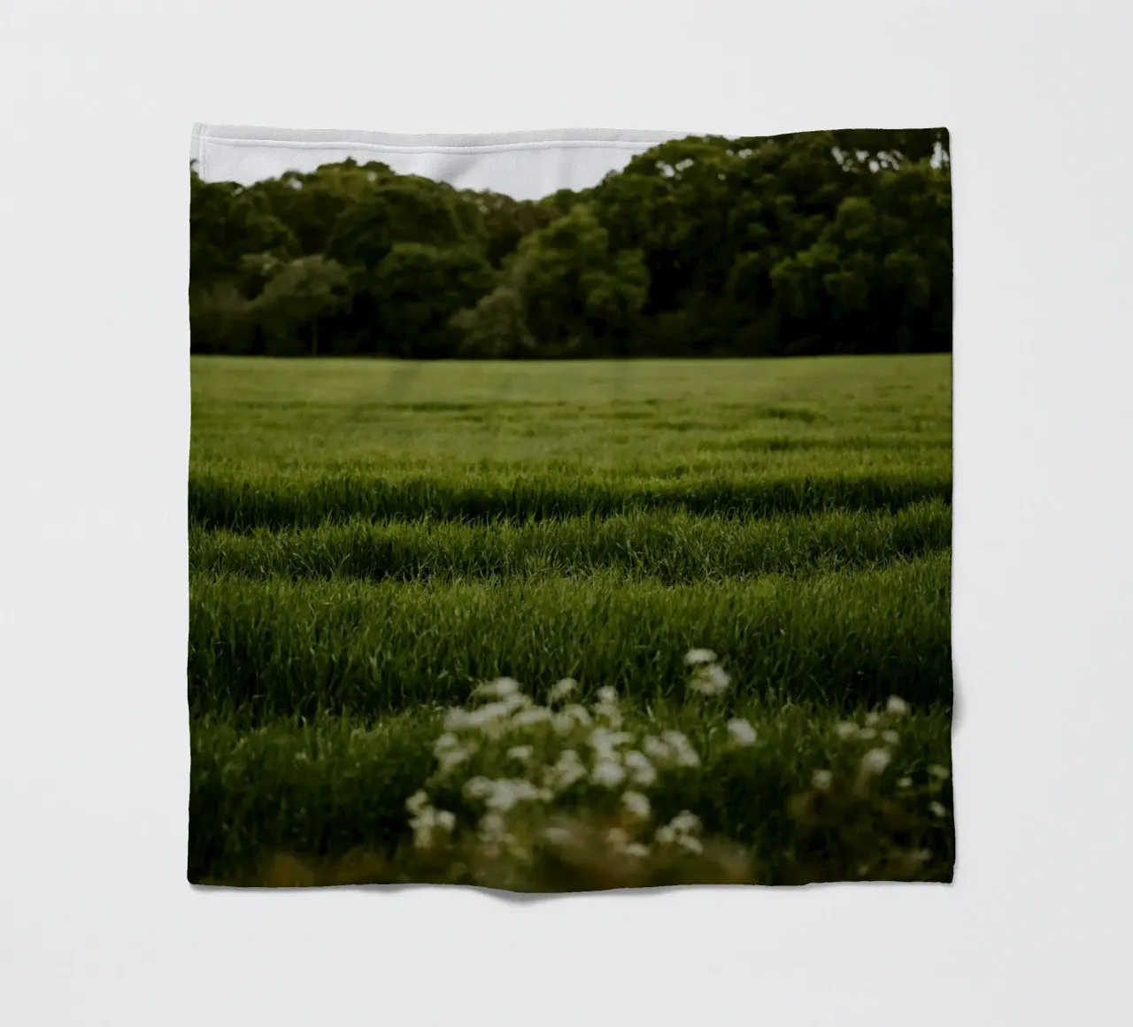 bushes forest coperta in pile da Horsire