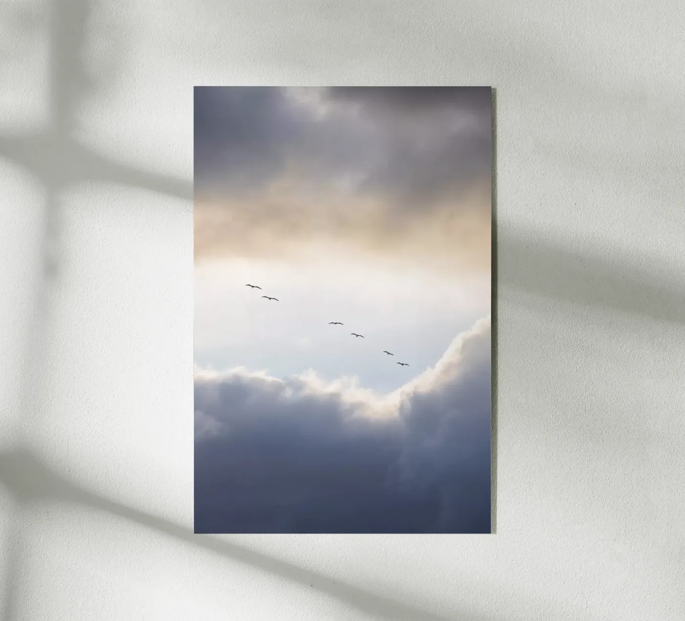 Flying High 10 acrylic glass by Mareike Böhmer Photography