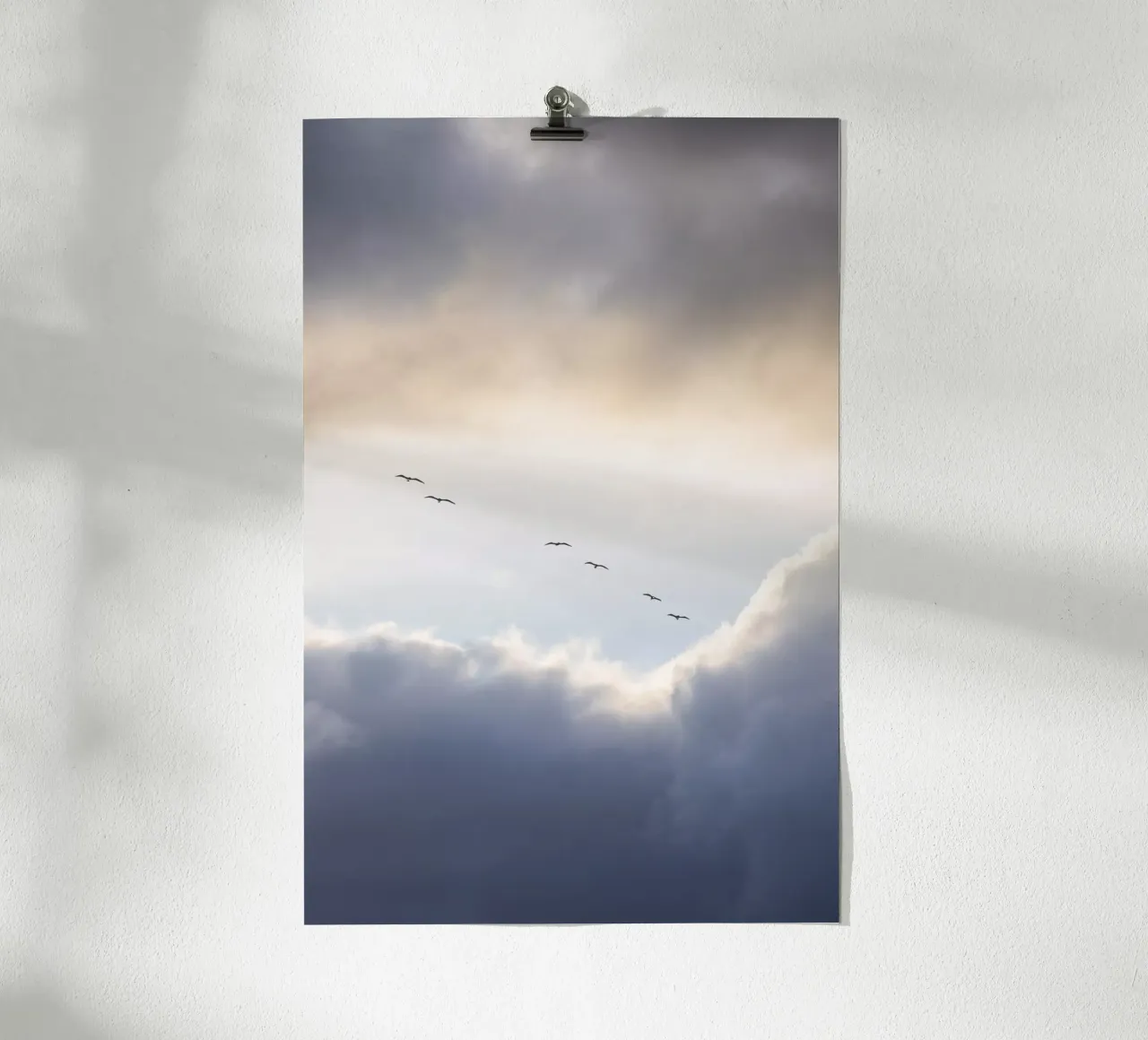 Flying High 10 poster da Mareike Böhmer Photography