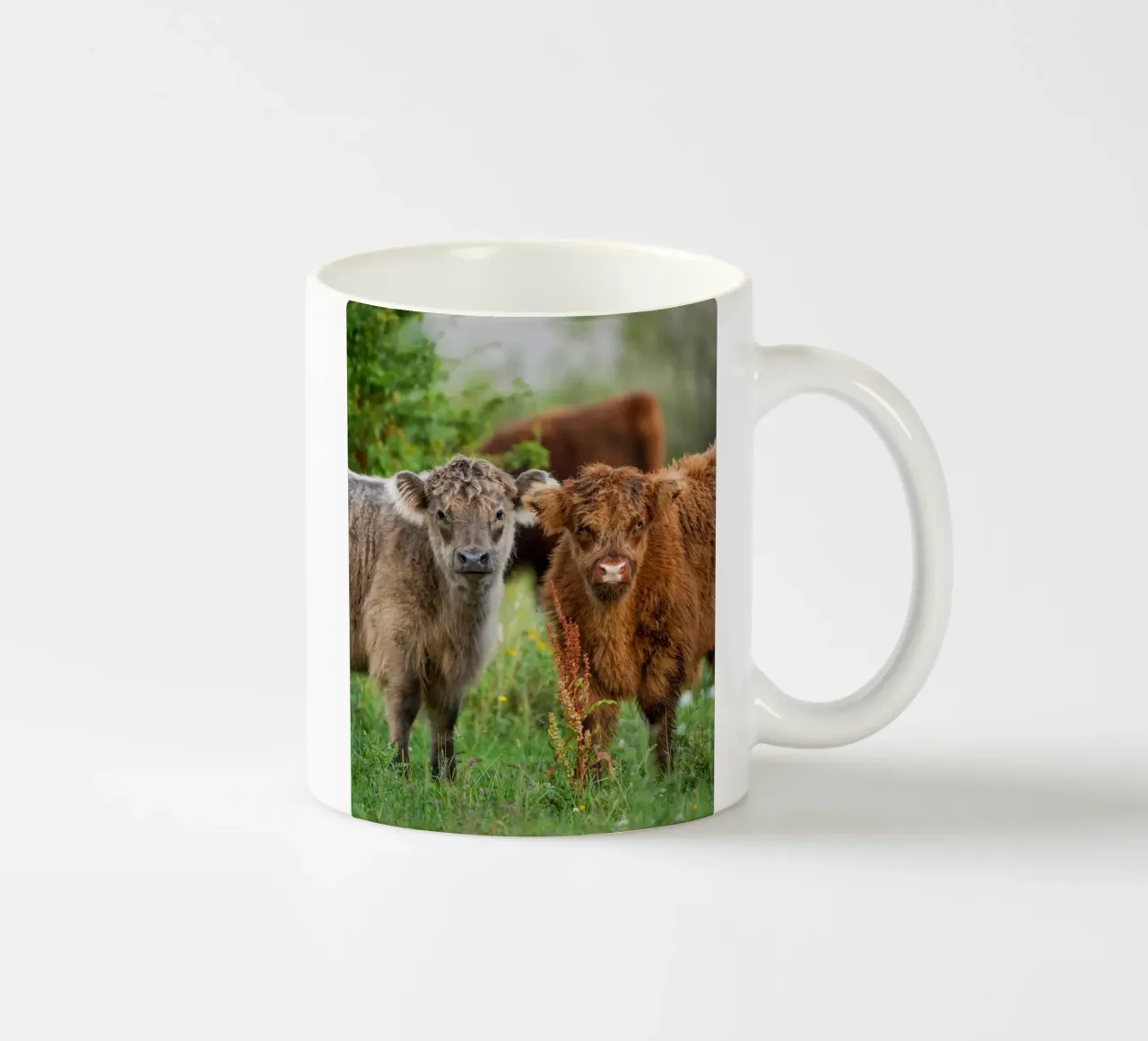 Highland cows ceramic mug by Tom's Wildlife