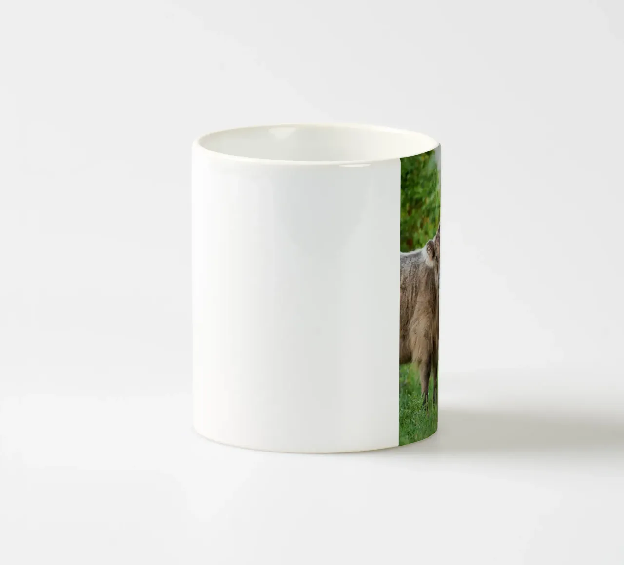 Highland cows ceramic mug by Tom's Wildlife