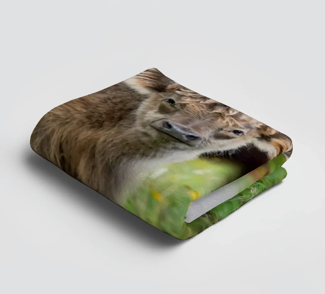 Hochlandkühe Handtuch von Tom's Wildlife