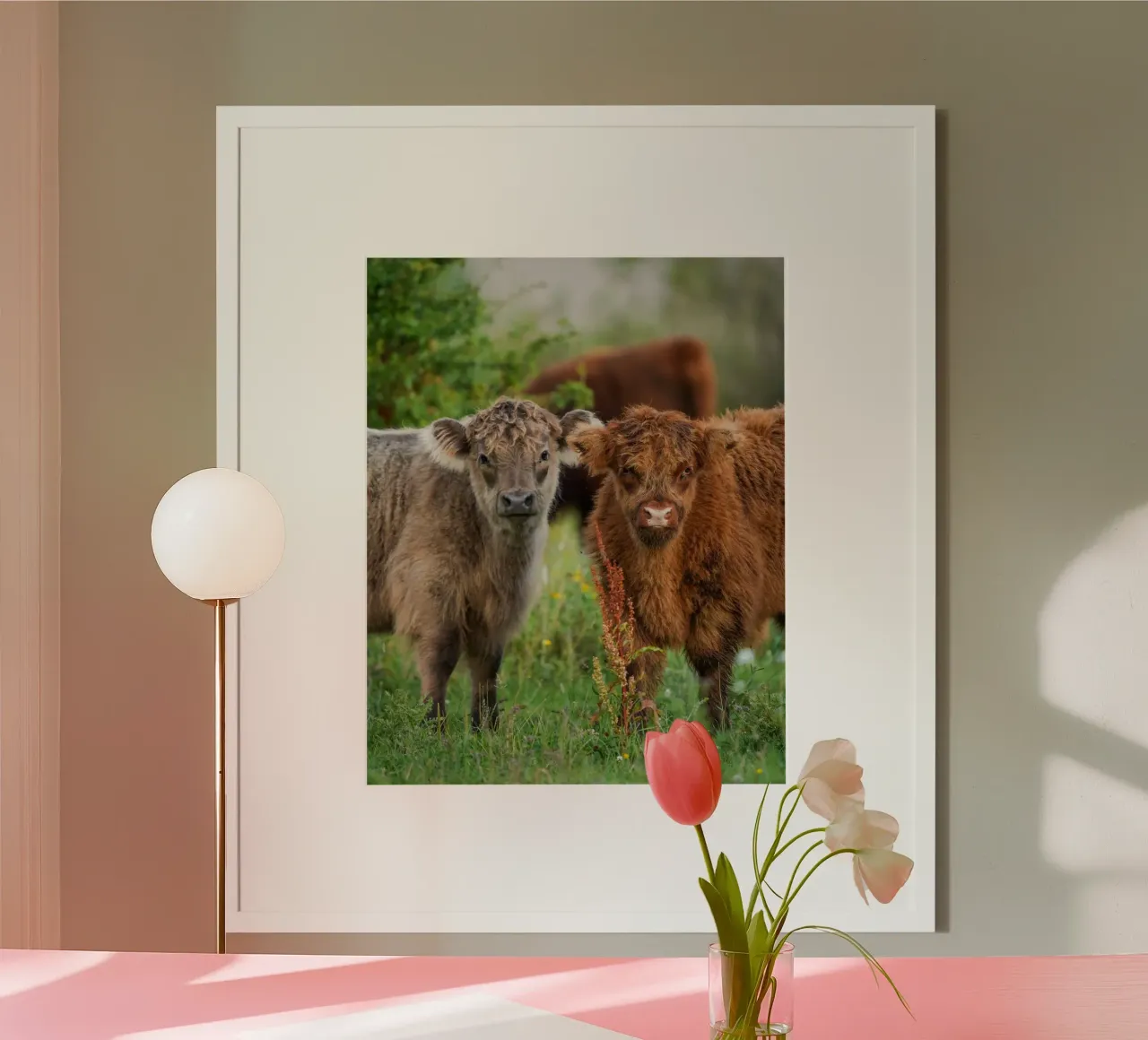Vacche delle Highlands poster da Tom's Wildlife