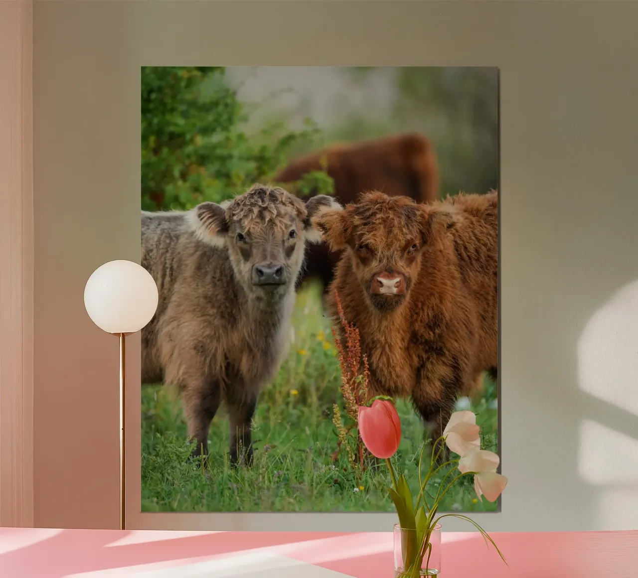 Vacche delle Highlands poster da Tom's Wildlife