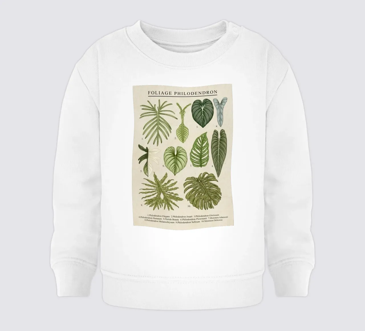 pianta di filodendro foglie illustrazione botanica felpa neonato da Harley Wood